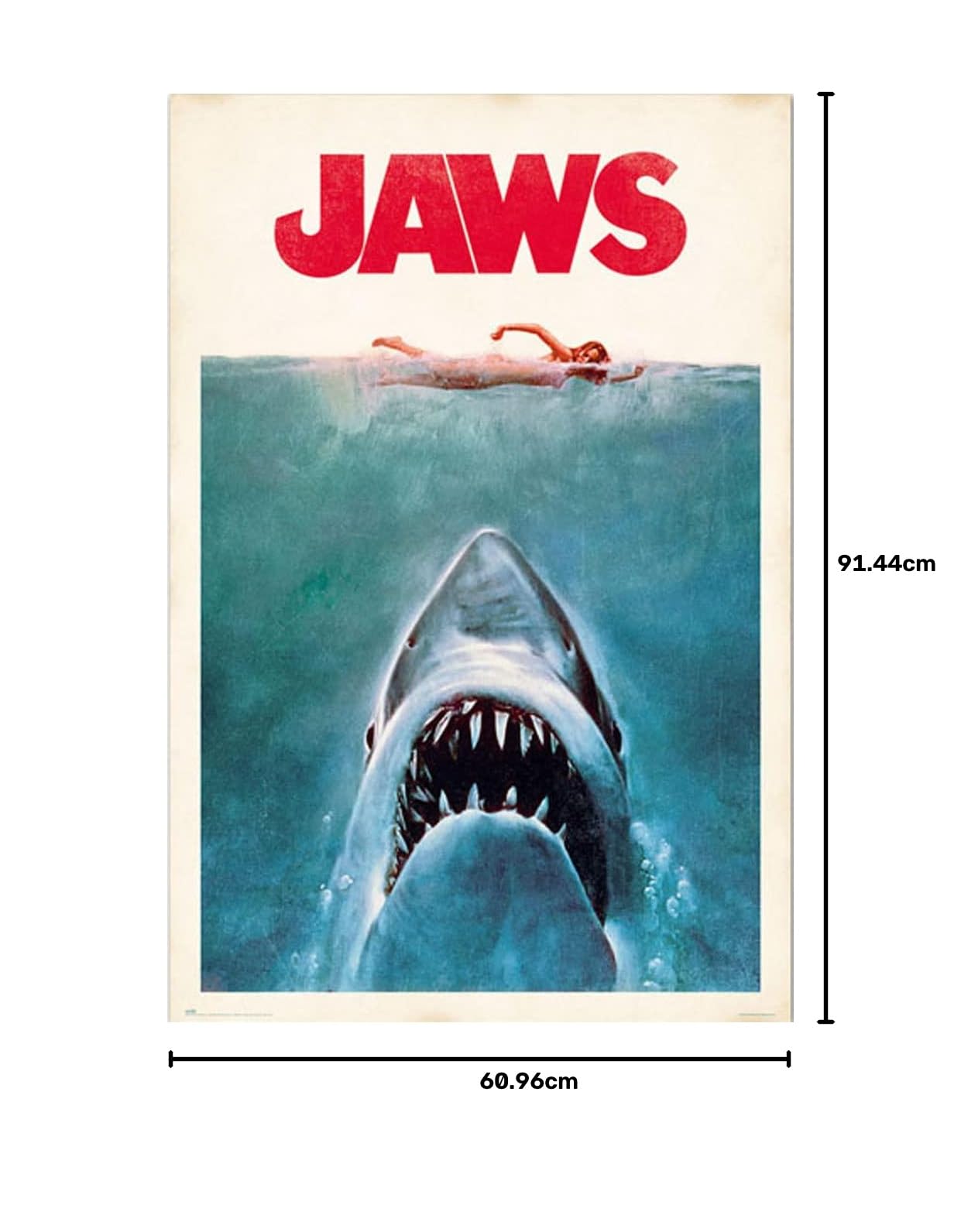 Amazon.co.jp: トライエックス ポスター/映画 カラー 91.5×61cm